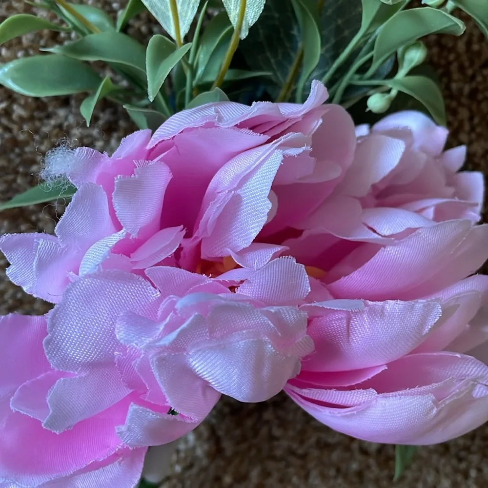 2 Bloom Room Pink Spring Picks